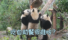 吃自助餐很難？